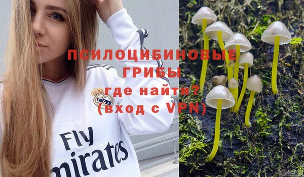 бутират Алзамай