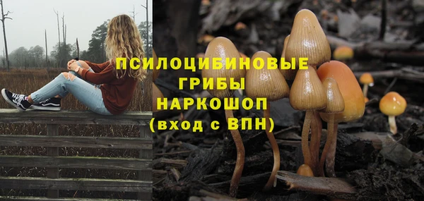 бутират Алзамай